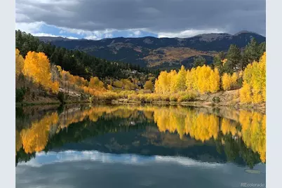 163 Ward Street, Bailey, CO 80421 - Photo 30