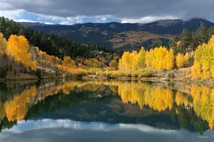 163 Ward St, Bailey, CO 80421 - Photo 30