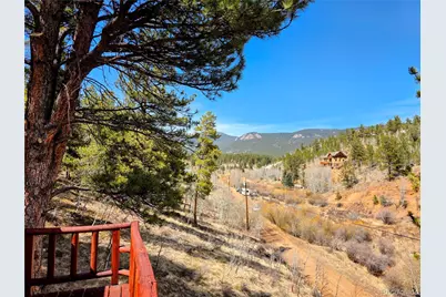 163 Ward Street, Bailey, CO 80421 - Photo 18