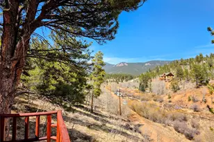 163 Ward St, Bailey, CO 80421 - Photo 18