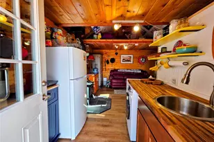 163 Ward St, Bailey, CO 80421 - Photo 4