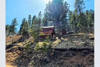 163 Ward Street, Bailey, CO 80421 - Photo 20