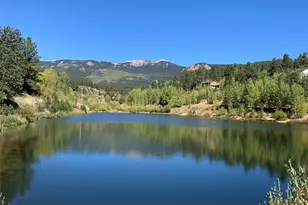 163 Ward St, Bailey, CO 80421 - Photo 24