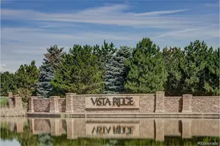 1281 Single Tree Ln, Erie, CO 80516 - Photo 42