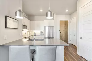 20 Wilcox Street, Castle Rock, CO 80104 - Photo 12