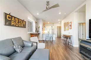 20 Wilcox Street, Castle Rock, CO 80104 - Photo 6