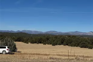 474 Deer Run Dr, Cotopaxi, CO 81223 - Photo 4