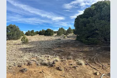Lot 142A Silver Spurs Ranch, Walsenburg, CO 81089 - Photo 22