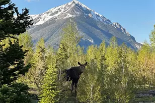 70 Black Diamond Trail, Silverthorne, CO 80498 - Photo 6