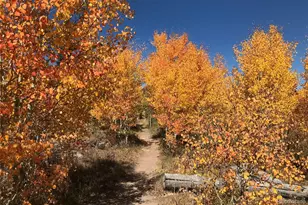 70 Black Diamond Trail, Silverthorne, CO 80498 - Photo 8