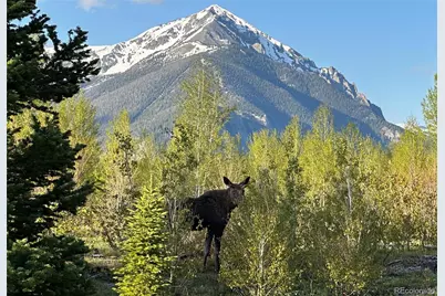 70 Black Diamond Trail #71B, Silverthorne, CO 80498 - Photo 16
