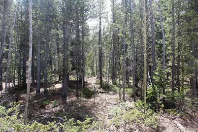 435 Aspen Road, Black Hawk, CO 80422 - Photo 10