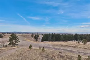 8055 Painted Pne St, Parker, CO 80134 - Photo 10