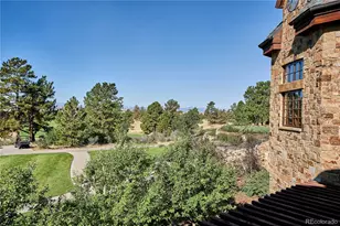 8055 Painted Pne St, Parker, CO 80134 - Photo 38