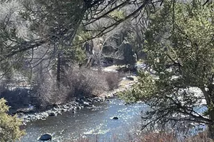 10795 Co Rd 197A, Nathrop, CO 81236 - Photo 12