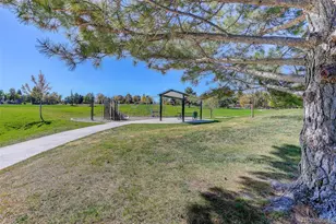 7048 S Flower Ct, Littleton, CO 80128 - Photo 38
