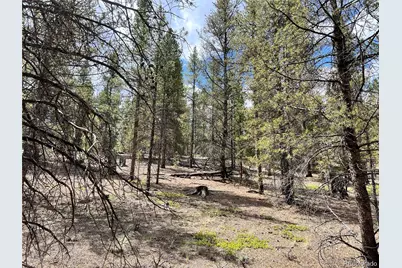 66 Ponderosa Drive, Leadville, CO 80461 - Photo 8
