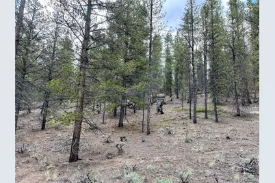 66 Ponderosa Drive, Leadville, CO 80461 - Photo 6