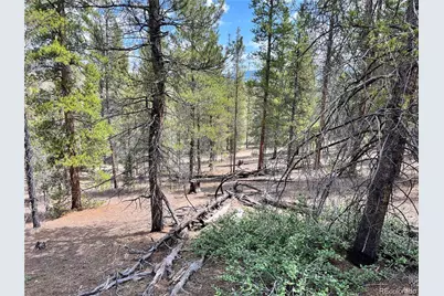 66 Ponderosa Drive, Leadville, CO 80461 - Photo 10