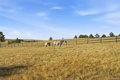 47682 Knibbe Court, Parker, CO 80138 - Photo 20