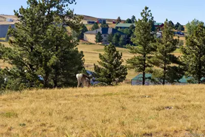 47682 Knibbe Court, Parker, CO 80138 - Photo 38
