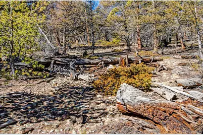 2623 Redhill Road, Fairplay, CO 80440 - Photo 20