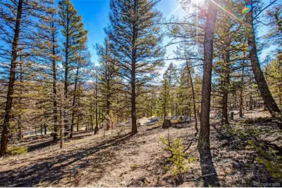 2623 Redhill Road, Fairplay, CO 80440 - Photo 18