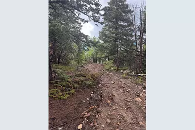 001 Church Placer Road, Central City, CO 80427 - Photo 10