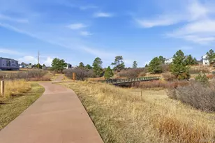 771 Bishop Pine Way, Castle Rock, CO 80104 - Photo 28