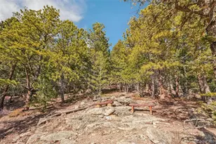 30874 Kings Valley Dr, Conifer, CO 80433 - Photo 24