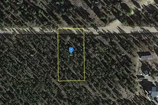 852 Spruce Dr, Twin Lakes, CO 81251 - Photo 1