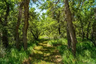 7701 Charles St, Colorado City, CO 81019 - Photo 34