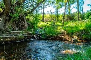 7701 Charles St, Colorado City, CO 81019 - Photo 40