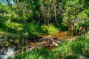 7701 Charles St, Colorado City, CO 81019 - Photo 38