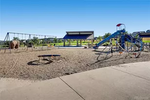 3639 Primrose Ln, Castle Rock, CO 80109 - Photo 14