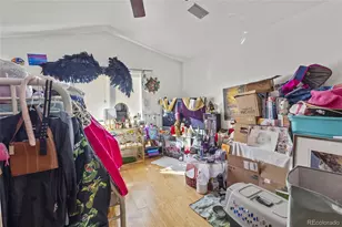 607 Branding Iron Ln, Castle Rock, CO 80104 - Photo 14