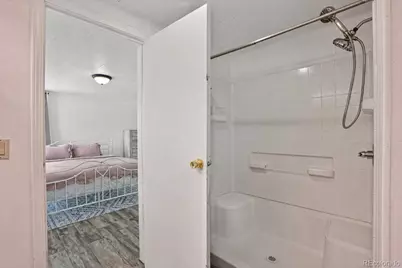 225 W Grand Street, La Veta, CO 81055 - Photo 18