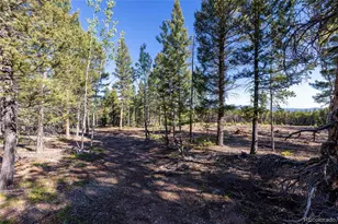 30894 Forest Shadow Trl, Conifer, CO 80433 - Photo 1