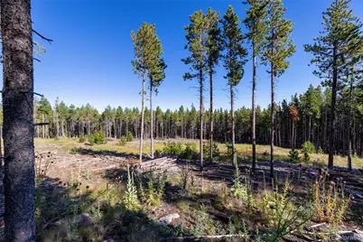 30894 Forest Shadow Trail, Conifer, CO 80433 - Photo 2