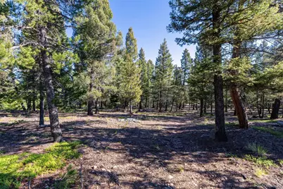 30894 Forest Shadow Trail, Conifer, CO 80433 - Photo 4