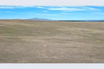 2 County Road 94, Elbert, CO 80106 - Photo 8