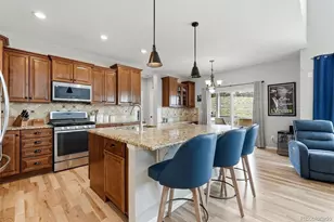 2815 Dreamcatcher Loop, Castle Rock, CO 80109 - Photo 10