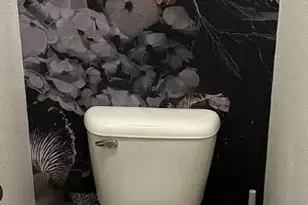 1020 S Ammons Cir, Lakewood, CO 80226 - Photo 18