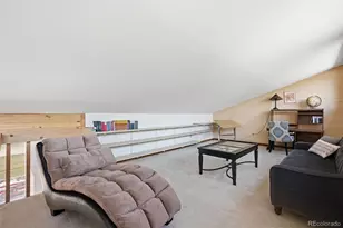107 Ox Yoke Ln, Bailey, CO 80421 - Photo 42