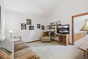107 Ox Yoke Ln, Bailey, CO 80421 - Photo 40