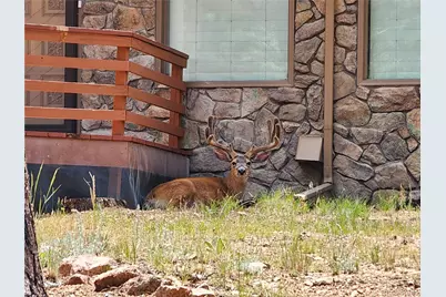 107 Ox Yoke Lane, Bailey, CO 80421 - Photo 48