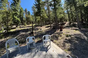 26460 Pleasant Park Rd, Conifer, CO 80433 - Photo 4