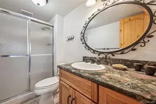 733 Spring Creek Ranch Rd, Silverthorne, CO 80498 - Photo 24