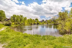 3692 E Briarwood Ave, Centennial, CO 80122 - Photo 46