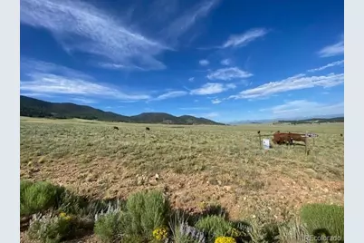 690 Eagle Gate Road, Westcliffe, CO 81252 - Photo 2